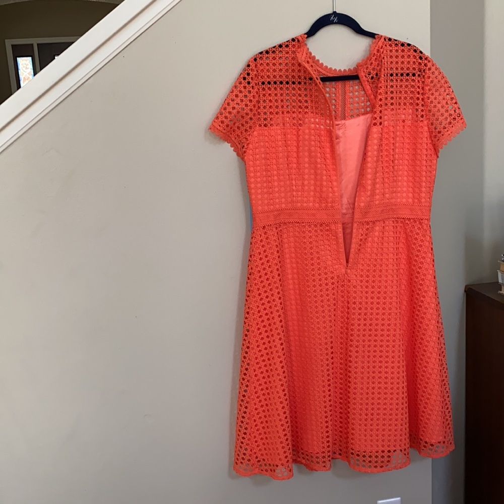 FIRM..Antonio Melani Stella Lace Scallop A Line Dress. - Picture 4 of 13